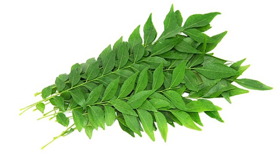 Curry Leaves